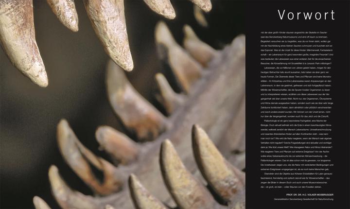Immagine prodotto Dinosaurier und andere Lebewesen der Urzeit (Tedesco, Christopherua, Tommaso, Jennifer/Duffin, BarryA/Clack, 2020)
