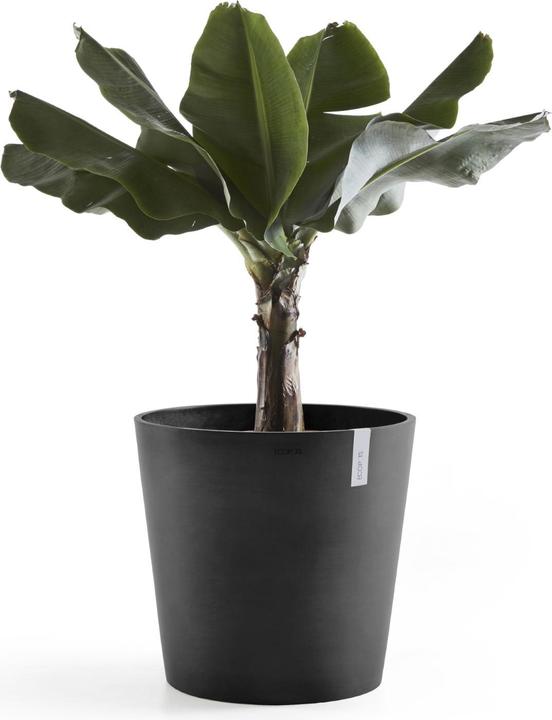 Actual product image Ecopots Amsterdam (50 cm)