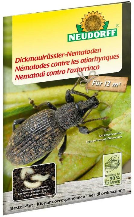Produktbild Neudorff Dickmaulrüssler-Nematoden (Bestell-Set mit Bestellgutschein) (Schadinsekten)