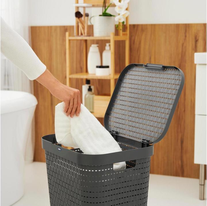 Image du produit Rotho Pays (55 l)