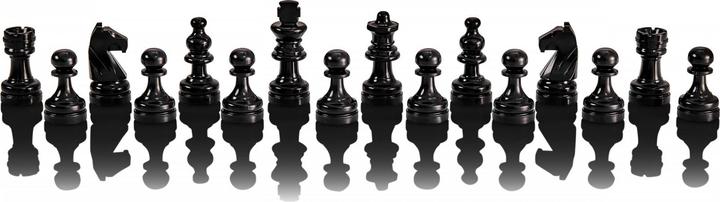 Produktbild Millennium Schachcomputer Europe Chess Master 2
