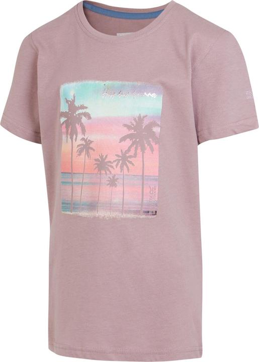 Actual product image Regatta Childrens/Kids Bosley VII Happy Days Of Summer Beach T-Shirt (128)