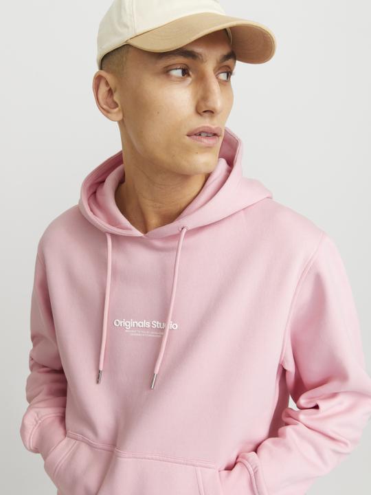 Immagine prodotto Jack & Jones Jorvesterbro Sweat Hood Noos (XXL)