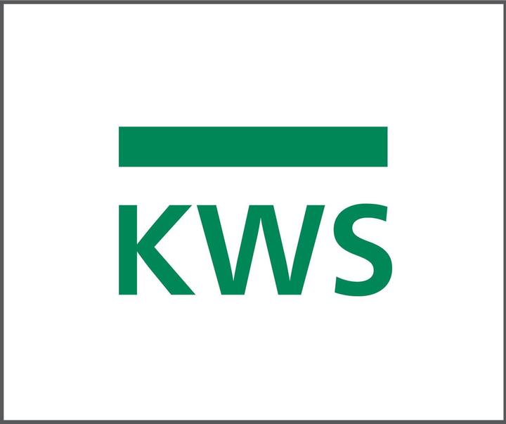 Actual product image Kws Door holder 1311 with mounting bracket for wall and floor mounting, silver painted steel (Indoor)
