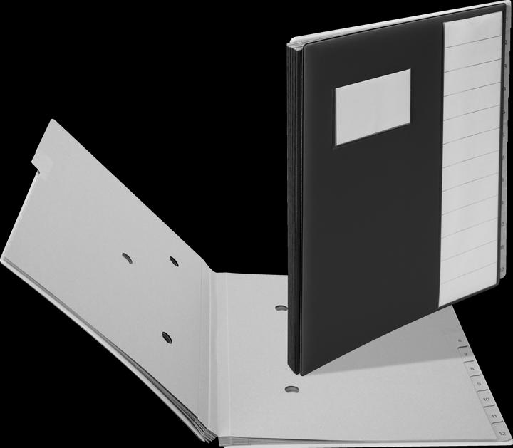 Produktbild Biella Pultordner Pronto (A4, 1 x)