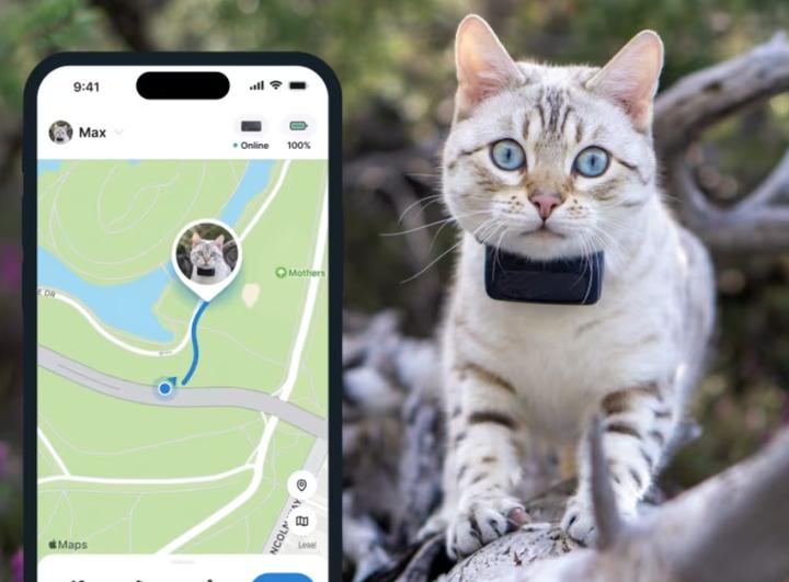 Produktbild Tractive CAT Mini GPS Tracker für Katzen (Katze, Allgemein)