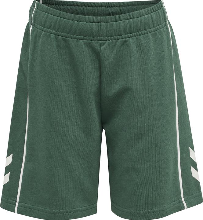 Image du produit hummel Hmldexter Shorts (122)