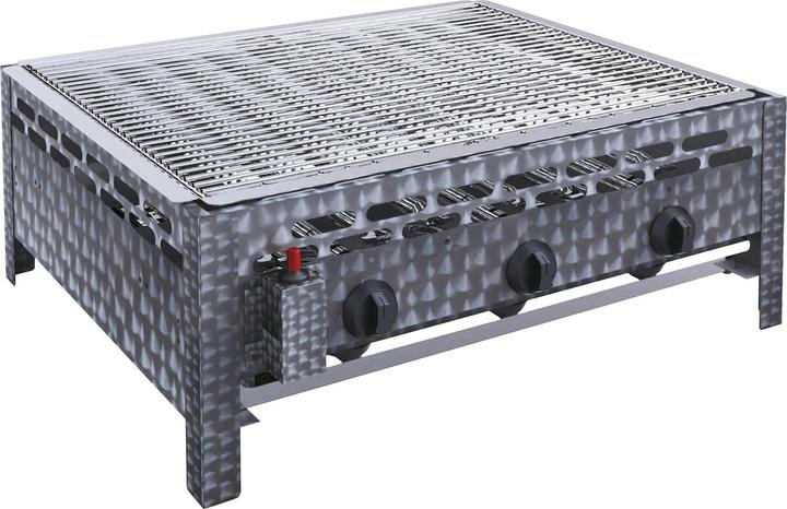 BBQ Dragon Gastro roast (12 kW)