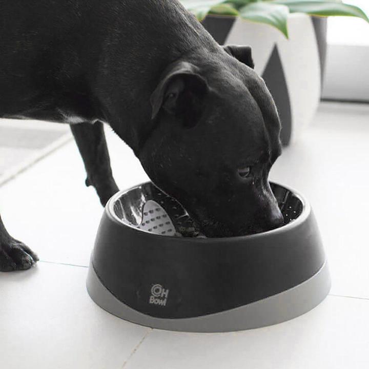 Actual product image LickiMat LICKI MAT - Dog Bowl Oral Hygiene Bowl M Black Ø22X7,2Cm - (645.5210)