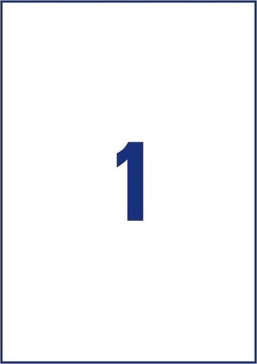 Actual product image Avery AVZ L8001-10 Antimicrobial labels 210x297mm weiss
