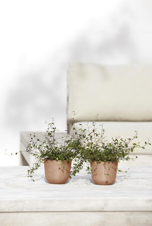 Produktbild Ecopots Oslo Mini (19 cm)