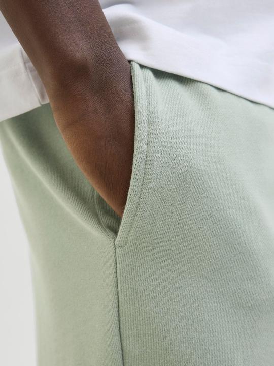 Immagine prodotto Jack & Jones Regular Fit Shorts Shorts (XS)
