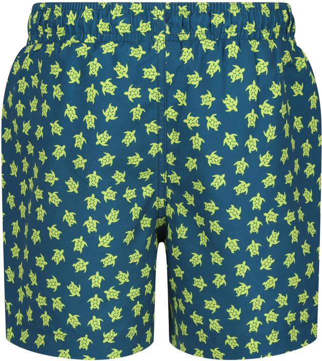 Regatta Skander III Kurze Hose Jungen (104)