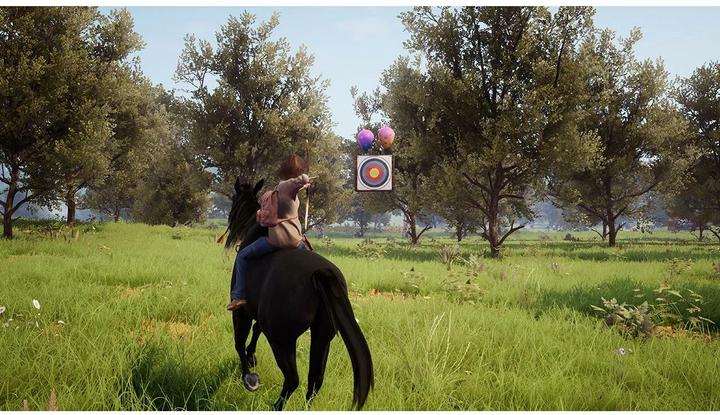 Actual product image Mindscape Ostwind: An unexpected adventure (Switch, DE)