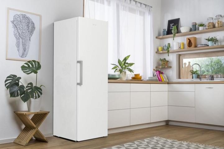Actual product image Gorenje GORE Freezer (Stand-alone, 280 l)
