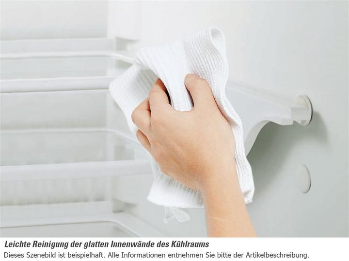 Actual product image Gorenje FI2092E1 Freezer Integrated E (Installation, 95 l)