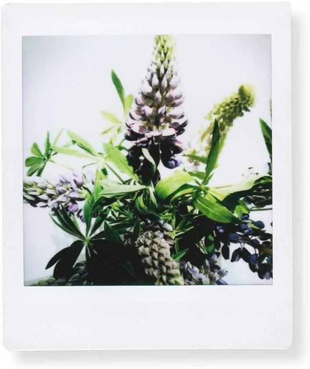 Actual product image Fujifilm Instax Square 10 sheets 2-pack (Instax SQ10, Instax Square SQ6, Instax Square SQ10)