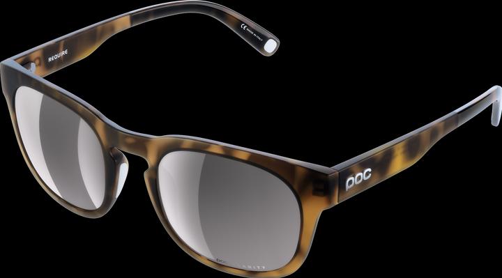 Tortoise Brown