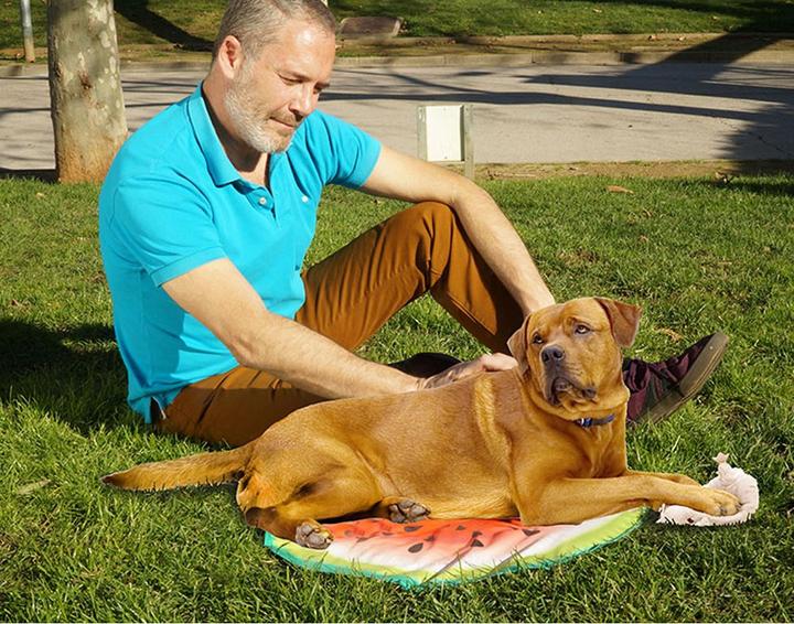Immagine prodotto Starlyf Pet Cooling Mat (Cane)