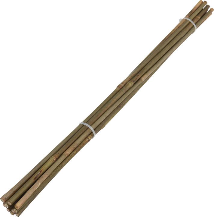 Natura Punto Pali per piante Pali di bambù (60 cm, 60 cm)
