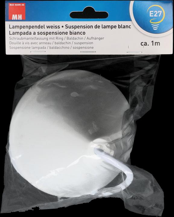 Produktbild Max Hauri Lampenpendel E27
