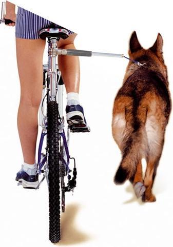 Image du produit Walky Dog Laisse de roue libre pour bicyclette (Chien, Réflecteurs)