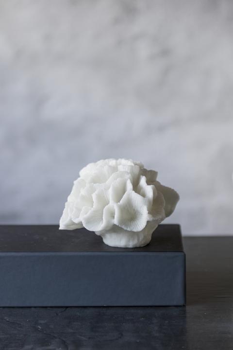 Immagine prodotto Mette Ditmer Coral (15 x 13,5 x 10 cm)