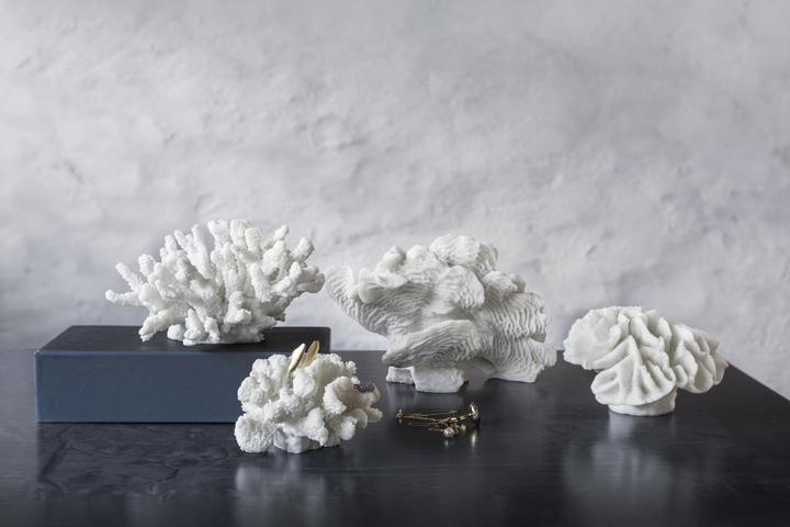 Immagine prodotto Mette Ditmer Coral (15 x 13,5 x 10 cm)
