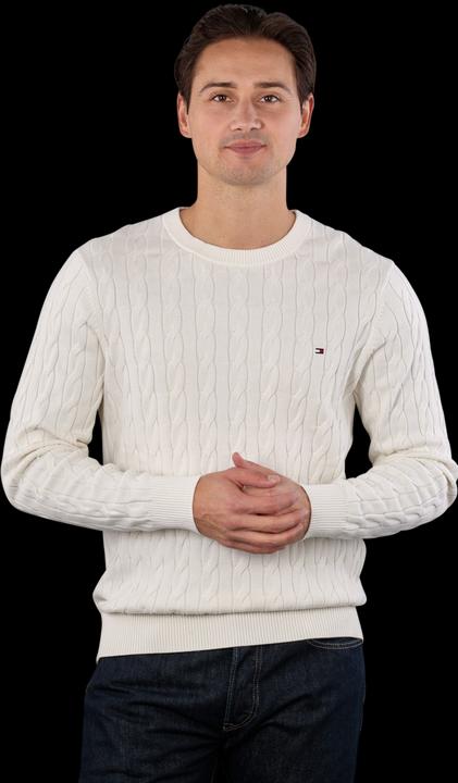Tommy Hilfiger 10020293