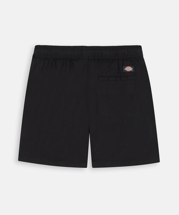Dickies Vale Short W