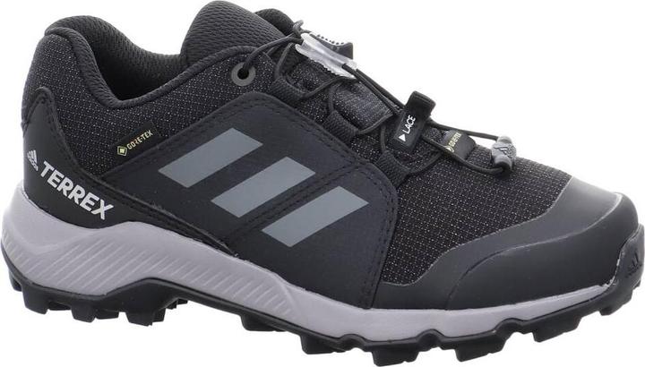 Actual product image adidas Terrex GTX Shoes (31)