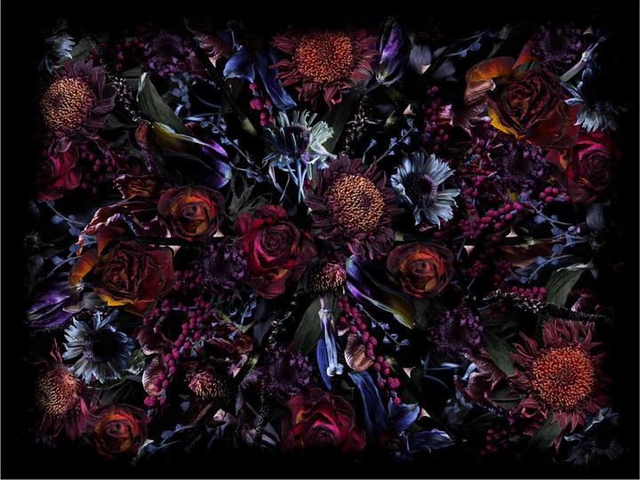 Moooi Fool's Paradise Tapis (300 x 400 cm)