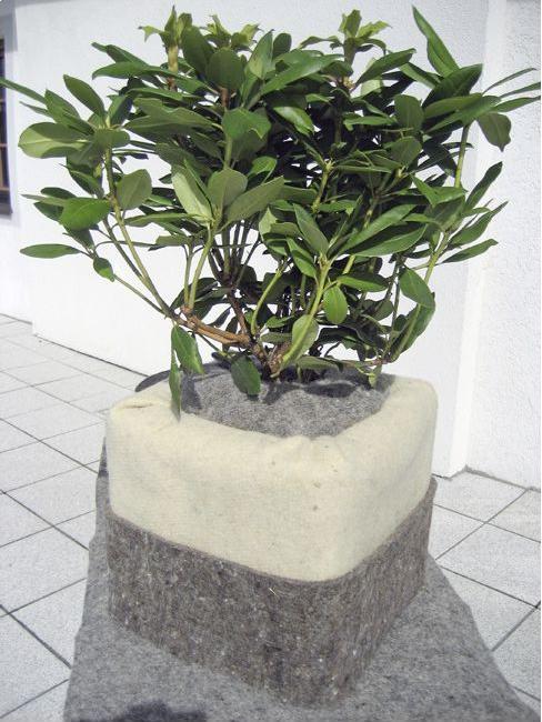 Immagine prodotto Windhager Coperta in pile