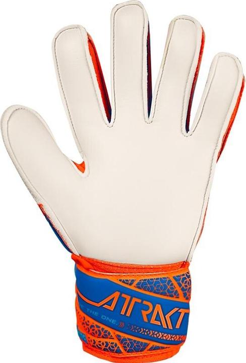 Image du produit Reusch Football Attrakt Solid (5)