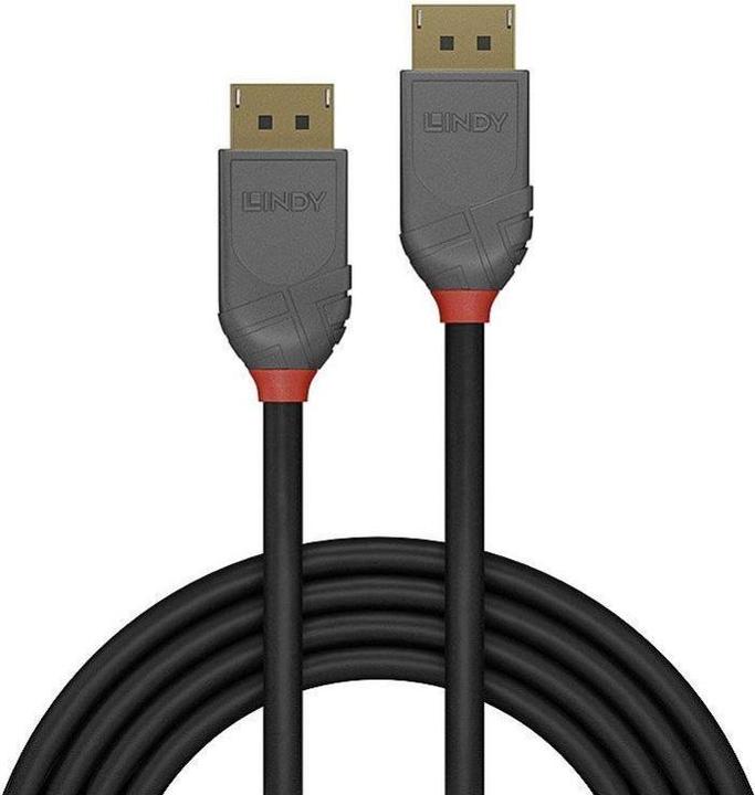 Immagine prodotto Lindy DisplayPort — DisplayPort (0.50 m, DisplayPort)
