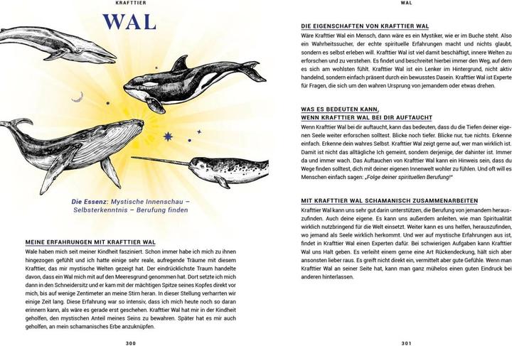 Image du produit Praxisbuch Schamanische Krafttiere – Entdecke deine Seelenbegleiter (Allemand, Benjamin Maier, 2022)