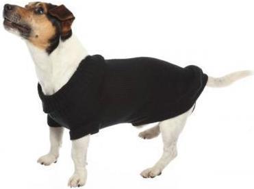 Actual product image Croci Spa Stockholm sweater for dogs black 45cm (Dog jumper)
