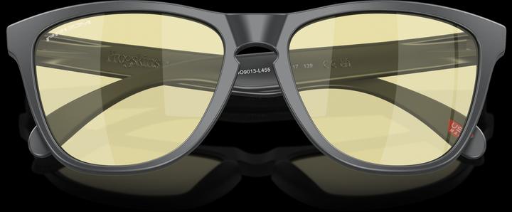 Actual product image Oakley Frogskins