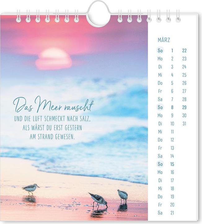 Image du produit Postkartenkalender 2026 Lichtblicke (16 x 17 cm, Couverture rigide, Allemand)