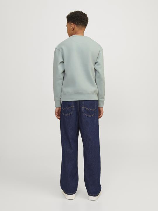 Immagine prodotto Jack & Jones Jorvesterbro Sweat Crew Neck Bn Mni (122)