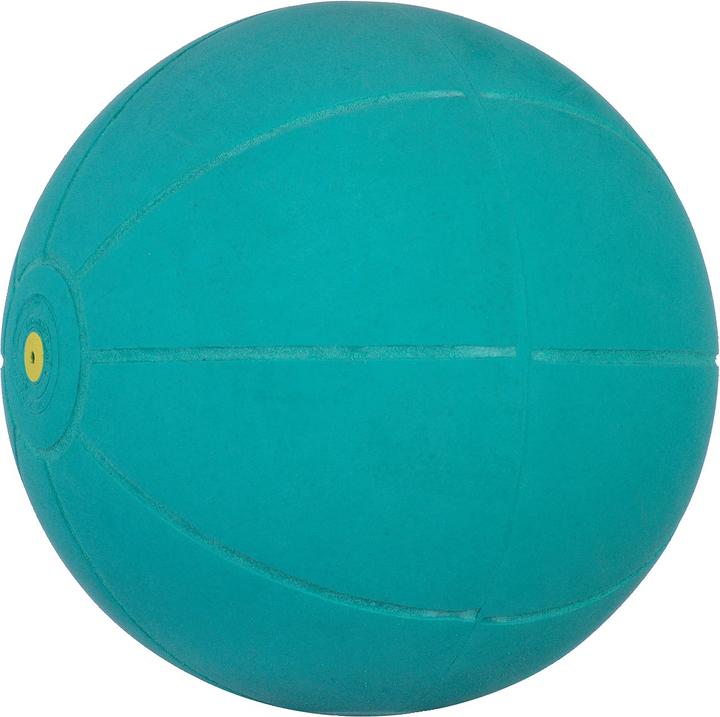 WV Ball Palla medica