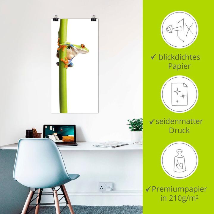 Image du produit Artland Toile sur châssis Grenouille entourant une tige végétale T5WZ 30x60 cm (30 x 60 cm)