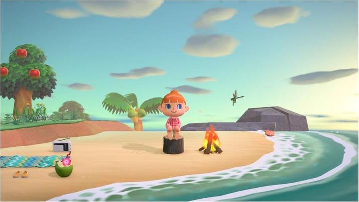 Actual product image Nintendo Animal Crossing: New Horizons (Switch, Switch Lite, Switch OLED, EN)