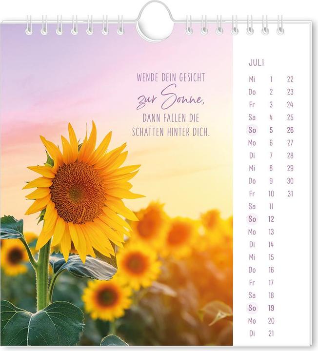Image du produit Postkartenkalender 2026 Lichtblicke (16 x 17 cm, Couverture rigide, Allemand)