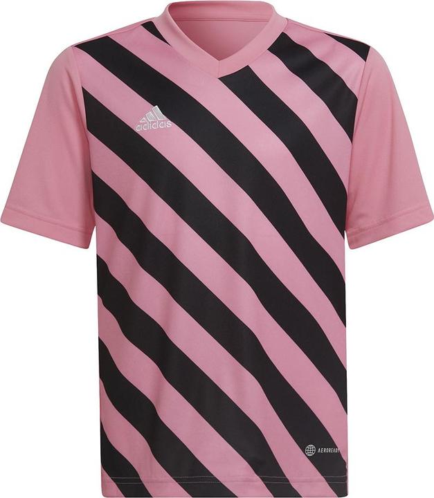 adidas Entrada 22 Graphic Trikot