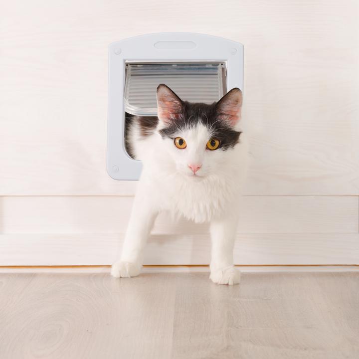 Actual product image Relaxdays 4 Way Pet Door (Manual cat flap)