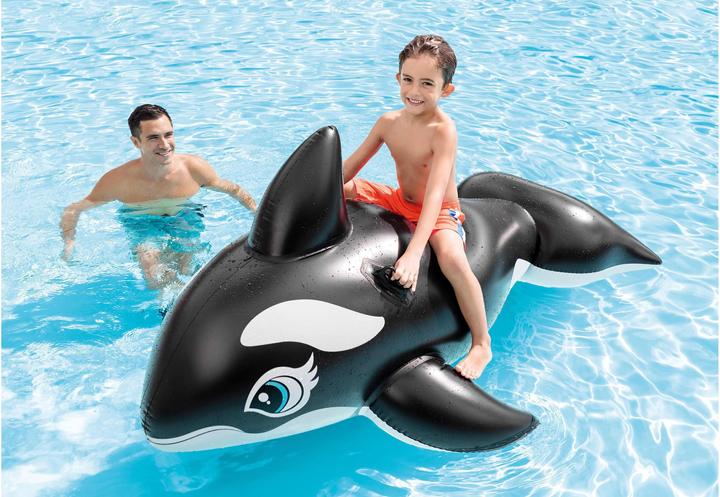 Actual product image Intex Whale