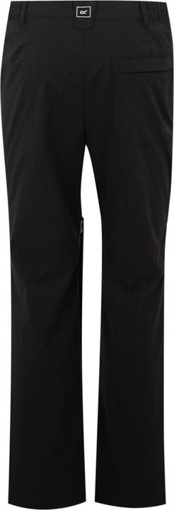 Actual product image Regatta Mens Highton II Hiking Trousers (32)