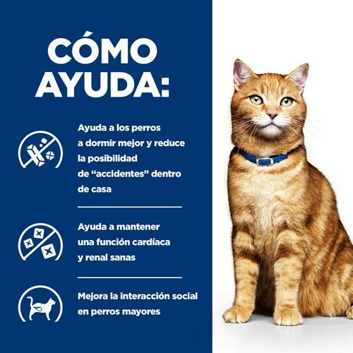 Produktbild Hill's HILL"S Feline c/d 8kg (Adult, 1 Stk., 8000 g)