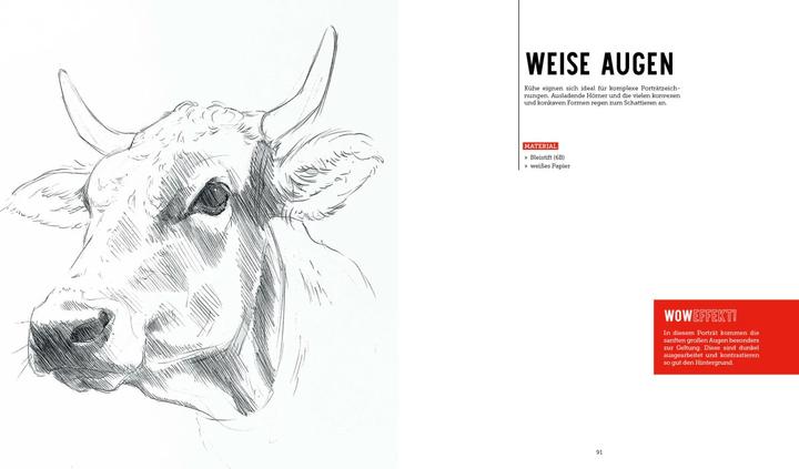 Image du produit Tiere zeichnen (2 Bücher im Bundle)